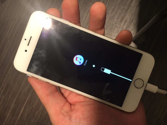 iPhone6s リンゴマークから動かなくなった！( ﾉД`)ｼｸｼｸ…（伊丹市よりお越しのお客様）